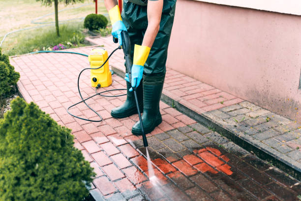 Best Affordable Power Washing  in Marquette, MI