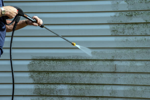 Best Roof Pressure Washing  in Marquette, MI