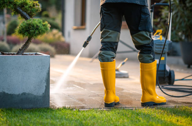 Best Pressure Washing Near Me  in Marquette, MI
